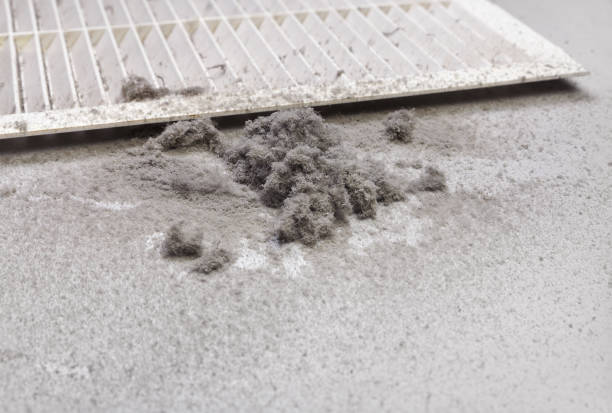 Best Best Air Duct Cleaning Company  in Mesilla, NM