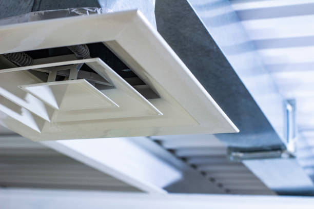 Best Affordable Duct Cleaning Services  in Mesilla, NM
