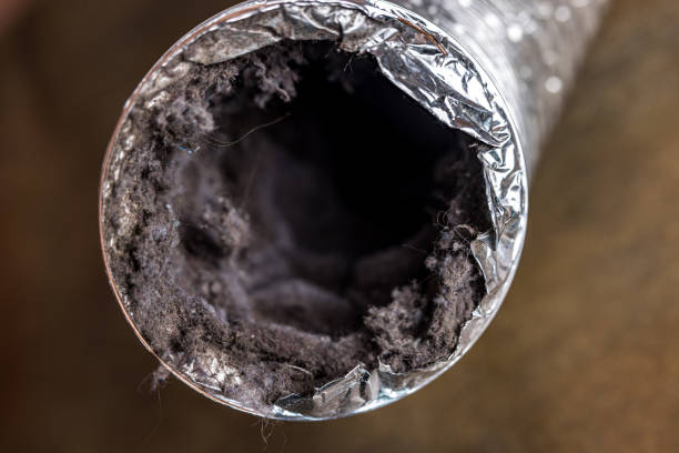 Best HVAC Duct Inspection Services  in Mesilla, NM
