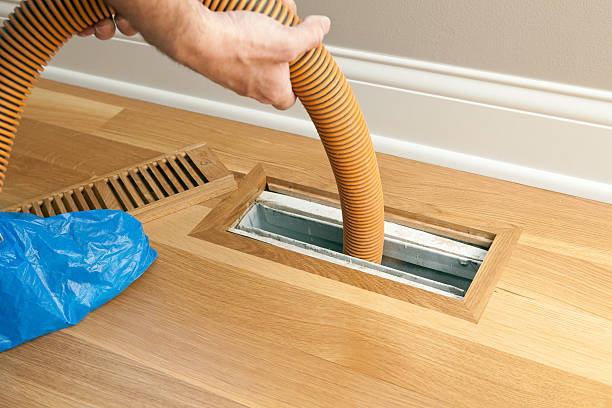 Best Dryer Vent Cleaning Services  in Mesilla, NM
