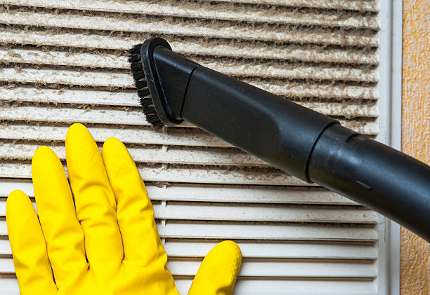 Best Best Air Duct Cleaning Company  in Mesilla, NM